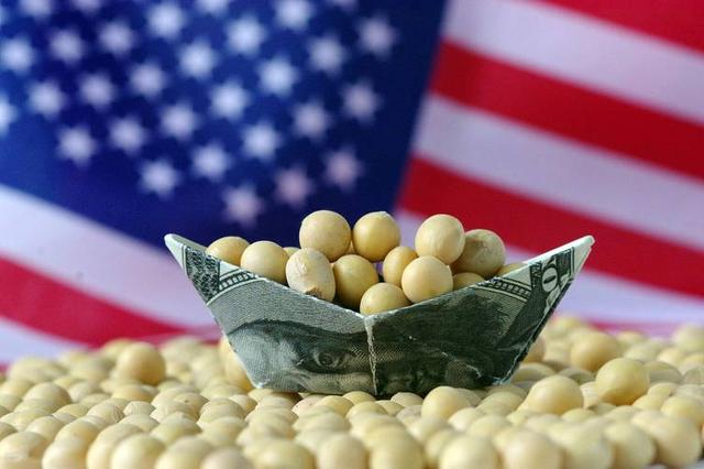 中美贸易休战才2周，中国对美大豆采购停滞，商务部回应话里有话