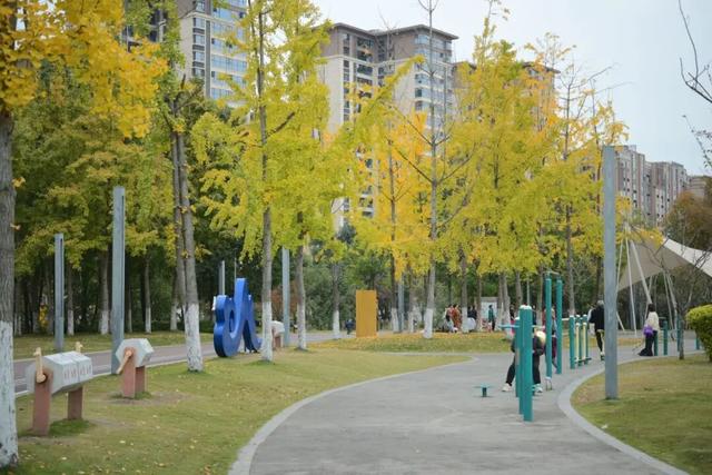 落叶缓扫，快来新津比“叶”！