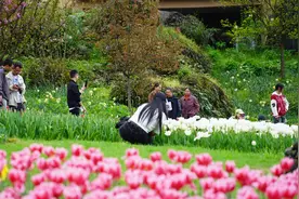 雅安荥经：遇见春天 “郁”见美好图片