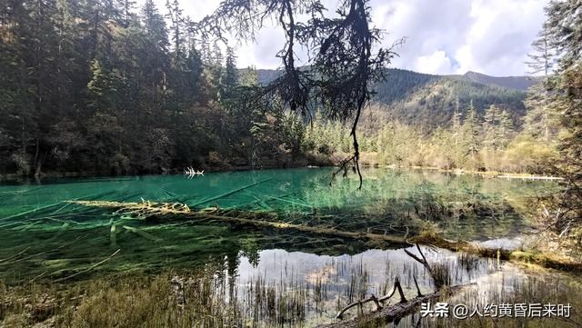 今年的彩林，选择了神仙池（嫩恩桑措）