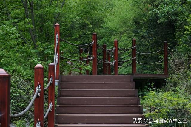 来一场「云赏黑河」之旅！听雨观山，神游林海