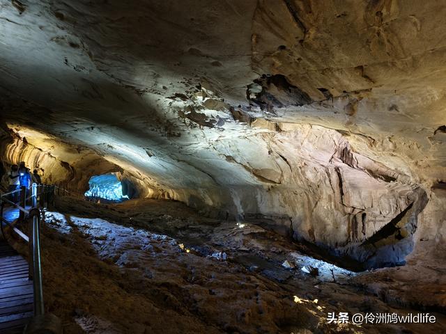 马来西亚(29)砂拉越州③姆鲁山清水洞·风洞