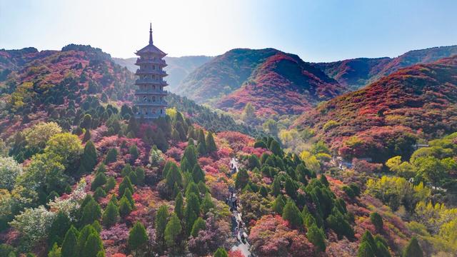 济南红叶谷第25届红叶节官宣！10月1日启幕，金秋热度拉满！
