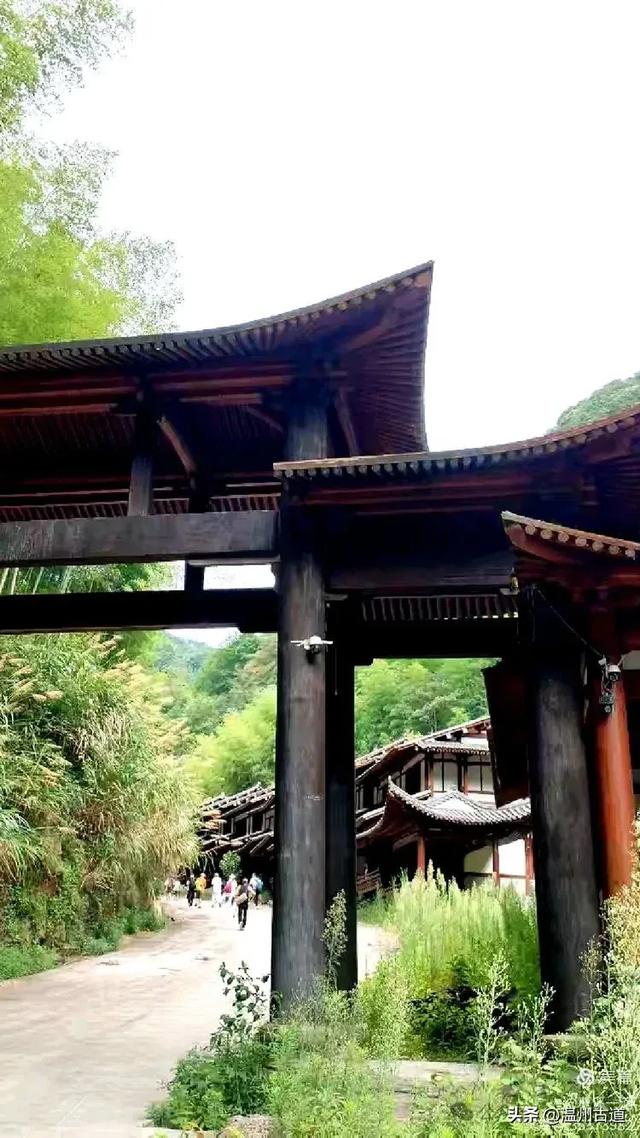 温州高山峡谷隐藏的小众秘境,驴友的瀑降宝藏地!雨后风光绝佳!