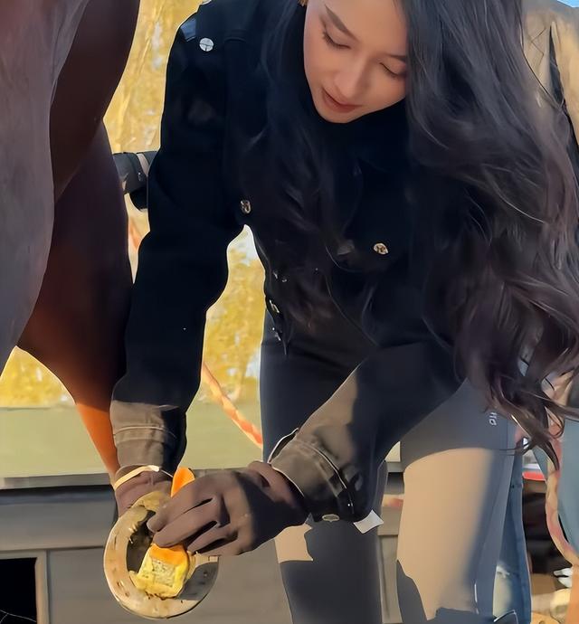 森林北分享养马日常，铲马粪修马蹄接地气，穿紧身裤三角区显尴尬