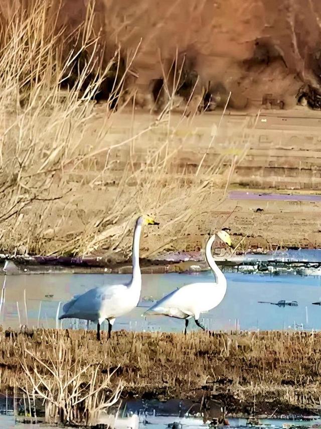 游新疆乌伦古湖海上魔鬼城