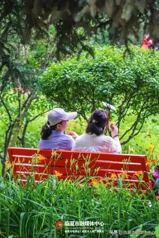 飞阅花都④丨漫步东郊公园 邂逅秋日风光 静享“天然氧吧”