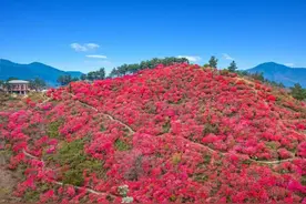 武汉多个景区宣布：限时免费图片