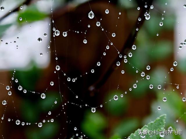 长假里的雨幕秋思