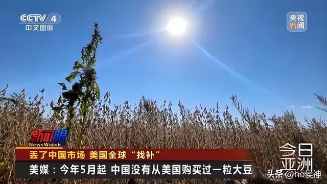 高市早苗出手够狠！中国停购美大豆，日本急着接盘，试图一箭双雕