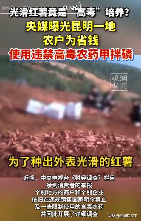 央视曝光毒红薯！商户主动投毒	，流窜至全国多地，背后利益链曝光