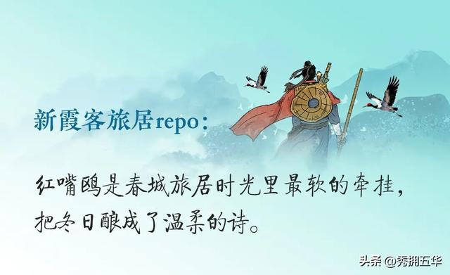 冬之云南 万羽衔霜｜新霞客·旅居记