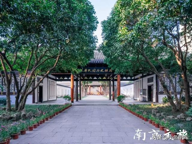 南京官宣：免费！半价！