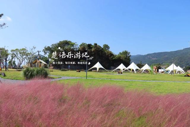 浙江宁波这片山海粉黛花海火了，但旁边风景更美，堪称宁波小新疆