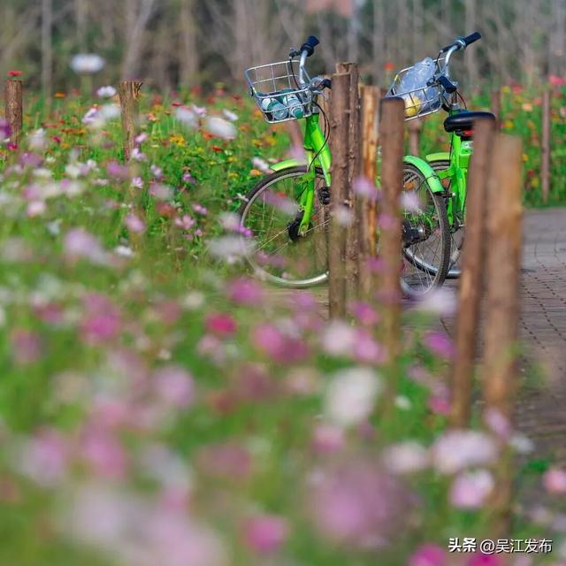 周末去打卡丨太好拍~东太湖绝美机位，“框框”出大片！