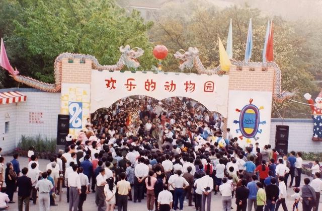 小布丁·早安 | 地名里的重庆：杨家坪因姓得名，还藏着老重庆的暗号