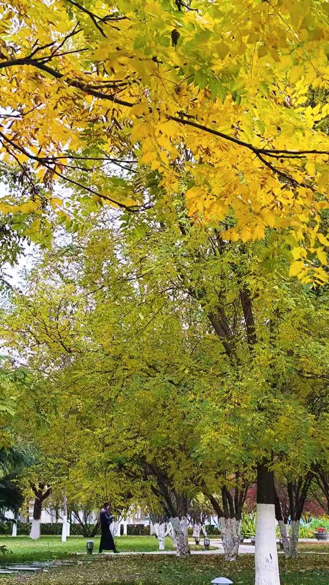 这么近那么美~猜猜这是哪？