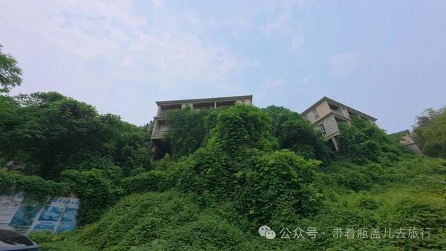 探秘重庆深山"鬼堡"，奢华废墟中暗藏玄机，背后真相到底是什么？
