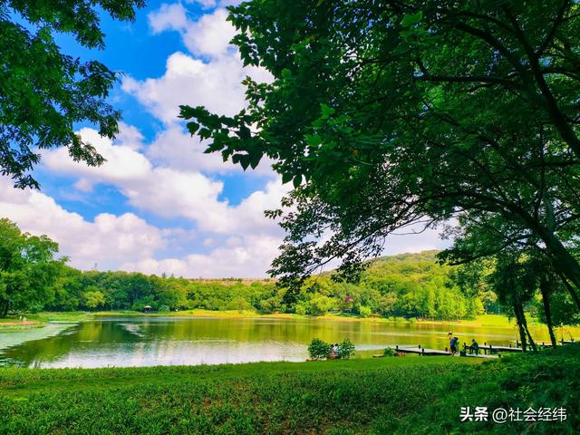 每日一景|幽湖清溪·琵琶湖公园