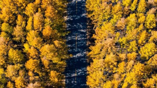 呼和浩特，2026必打卡！凭什么！