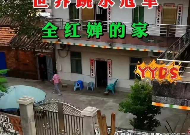 妥协了!婵宝家的邻居终于把影响婵宝家建新房进程的树修剪好，
