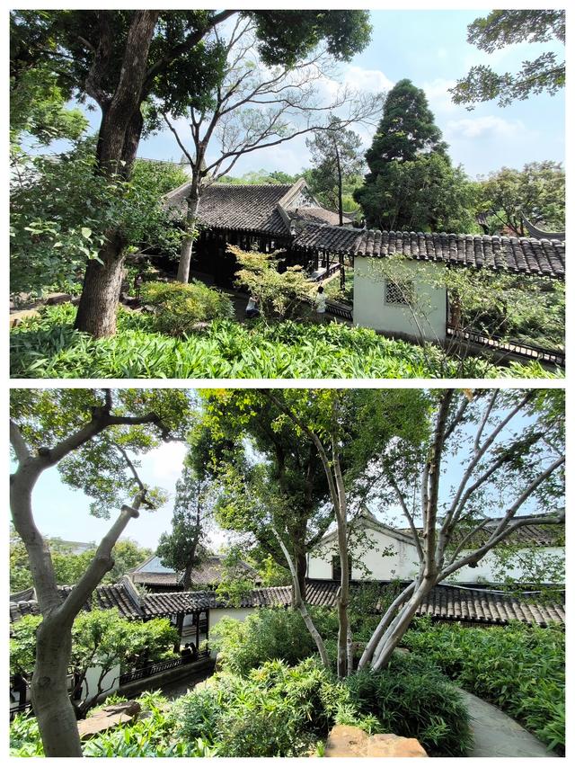 书院园林-苏州园林之可园(清·市保)