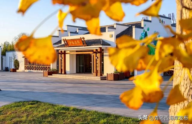 走不出这画了,我已被西海岸的秋景迷倒 🥹