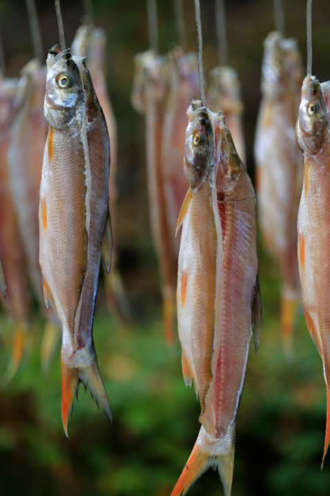 洈水的秋，慢了半拍，美了一倍