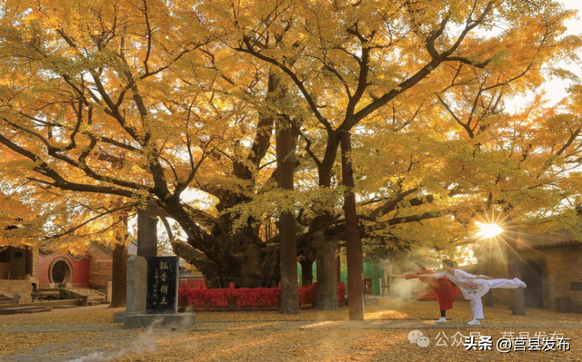 文旅山东推介莒县“宝藏小城”！