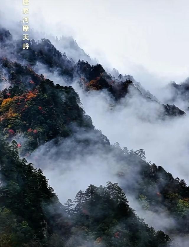 唐家河的秋：把山河晕成了打翻的颜料盘