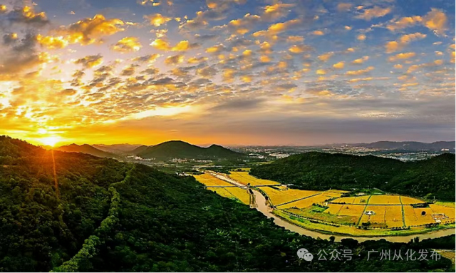 登高赏秋！从化风云岭秋色如画→