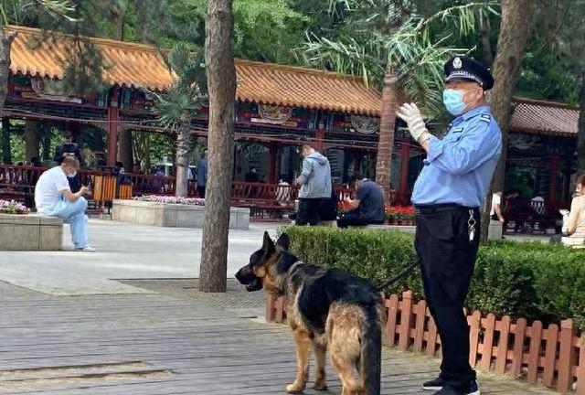 养狗应注意哪些规范问题