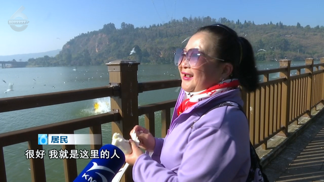 这个静谧小渔村，藏着彩虹桥、木栈道、老渔船、湖光鸥影……