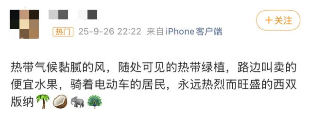 这可能是我买过的最离谱的特产: