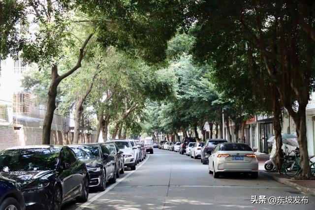 你好 东坡！| 东郊街：烟火与诗意交织的青春栖息地