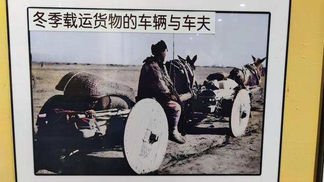 包头天下黄河第一村，靠着黄河边，风景还是不错的