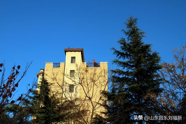 小区1号楼停电·徒步下楼·逛一圈的趣事