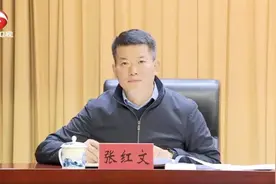 张红文已不再担任安徽省委常委、合肥市委书记图片
