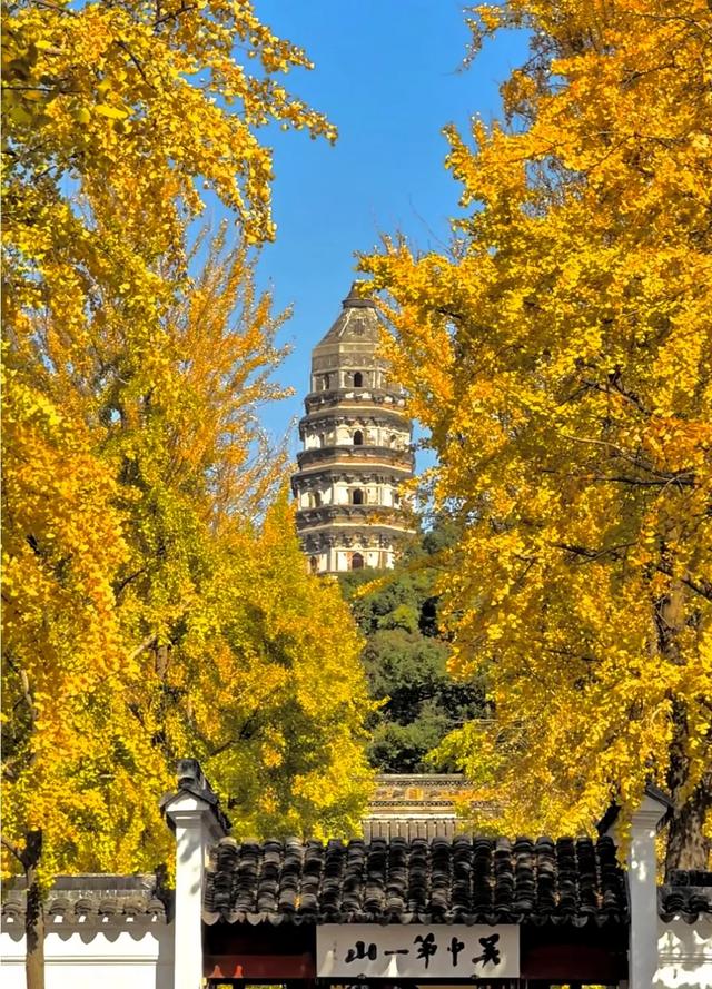 苏州秋天藏不住了！8个封神打卡地，承包江南最浓秋意
