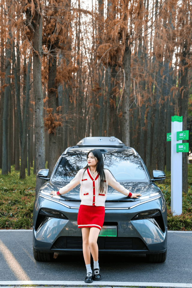 冬日寻一处静谧：与唐L同游棕树小道纪实