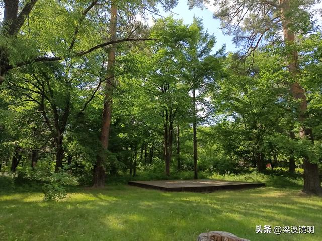 长白山美人松公园——吉林游（4）