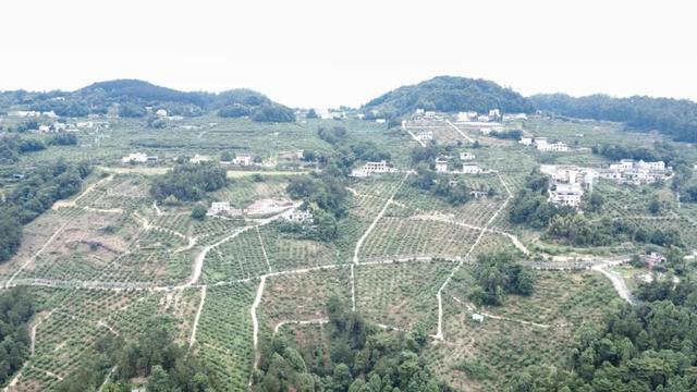 「宜宾必去的100个地方」新榜单出炉！火热报名中！