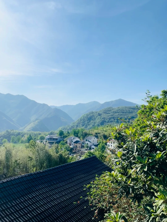 上海周边藏着7个清凉古村落，夏日均温二十多度，