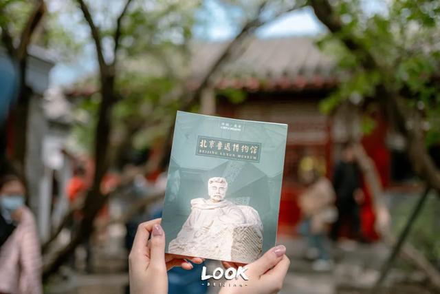 免费开放,北京冬天真的很适合来这里