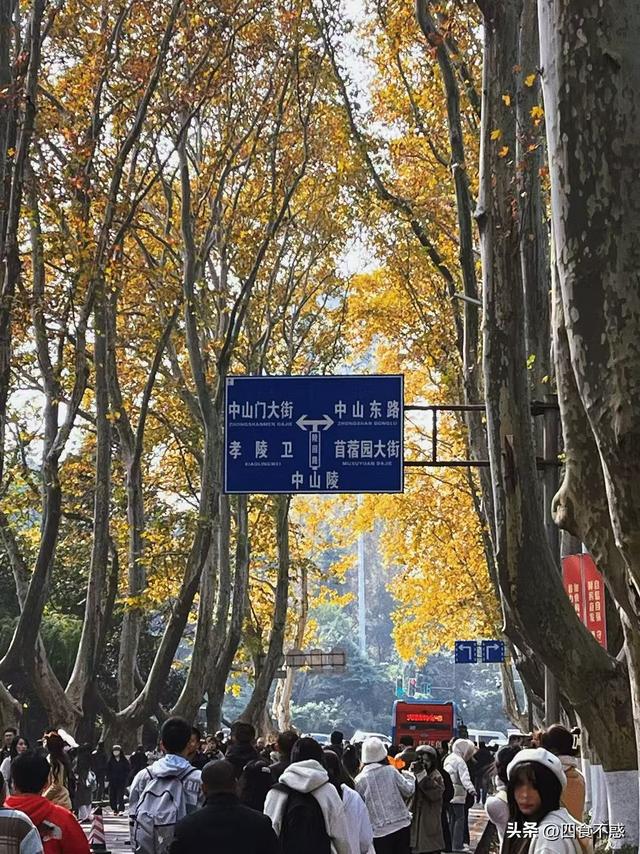 盘点人生赏秋清单，推荐四处小众赏秋地
