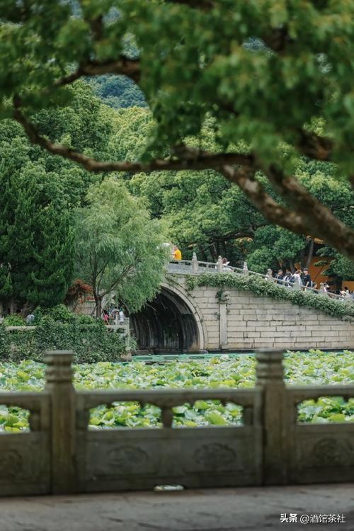 打工人都在偷着“野”？他们不辞职，却把日子过成了人生旷野！