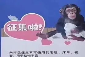 你家有吗？上海动物园公开征集旧毛毯→图片