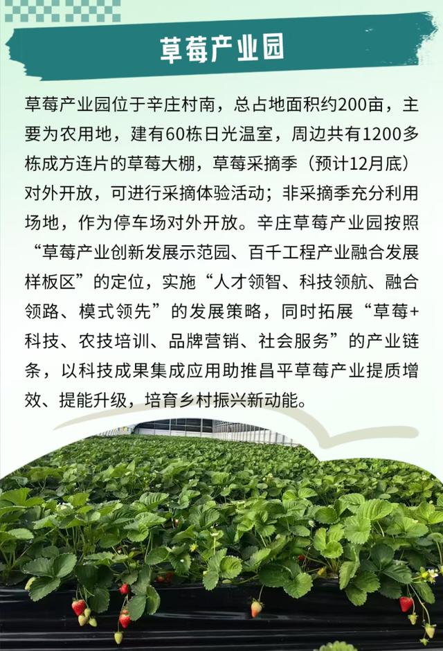 Country Walk昌平篇：这个冬天去哪玩？摘草莓、逛市集、公园漫步一次搞定！