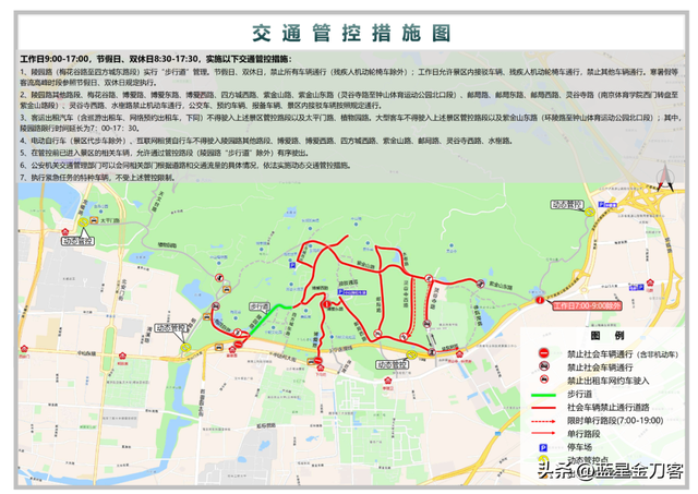 南京梧桐树下的初衷与苦衷