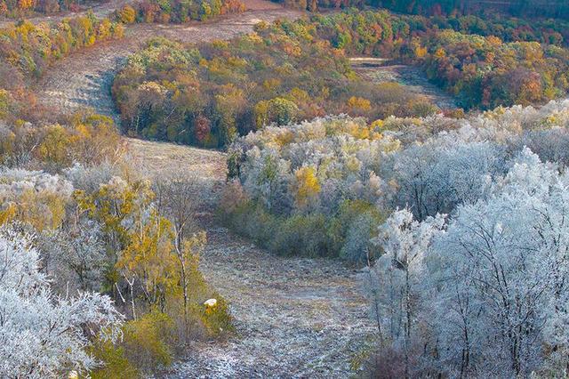秋之彩色吉林｜吉林大青山：一半绚烂，一半素雅